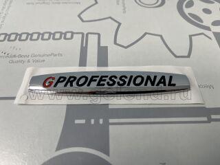  G-Klasse Professional